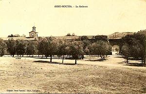 Ammi-moussa 603